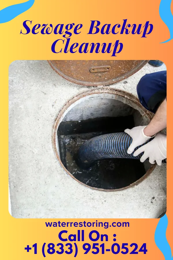 Sewage Backup Cleanup in Atlantic, IA
