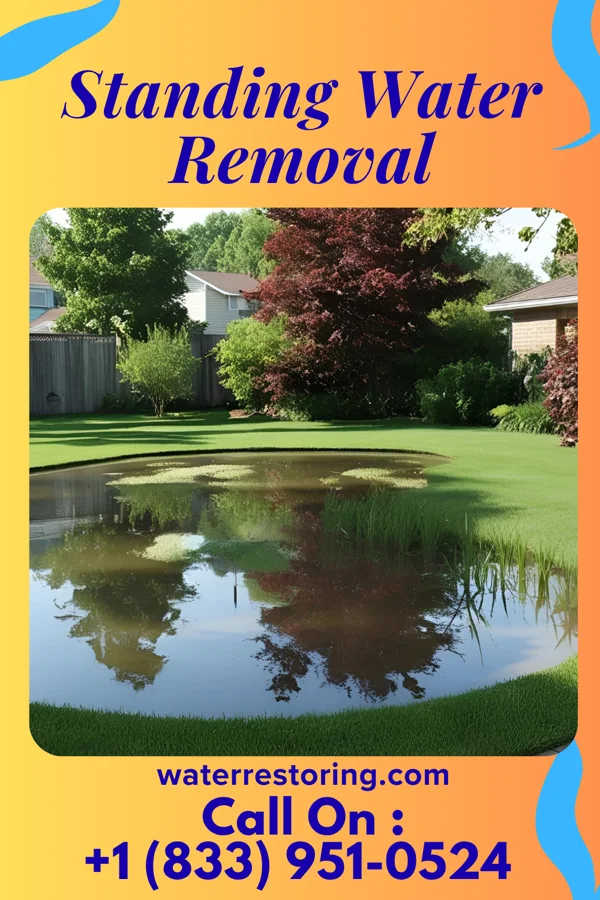 Standing Water Removal in Atlantic, IA